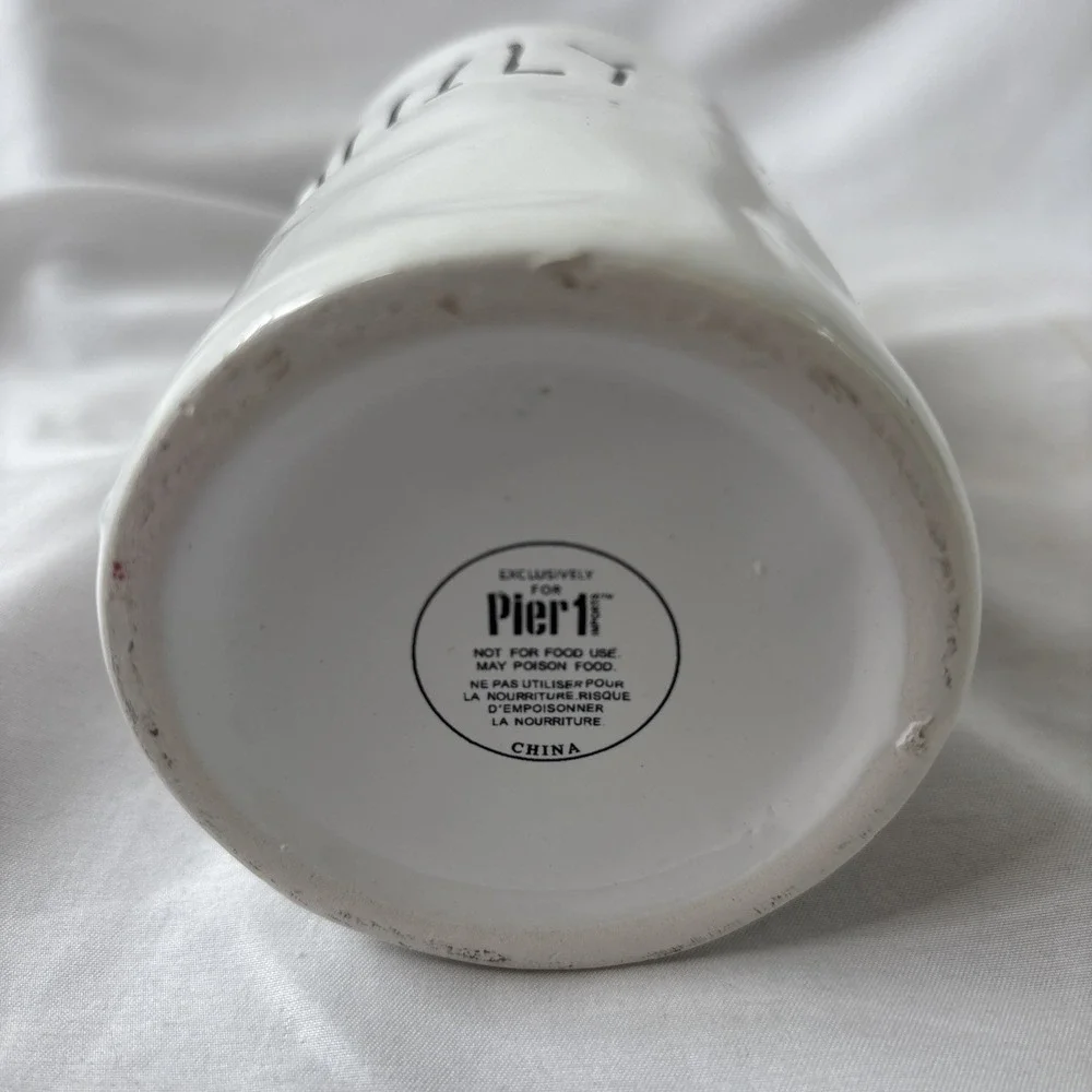 Pier 1 Imports‎ FAMILY White Ceramic Vase 7.5